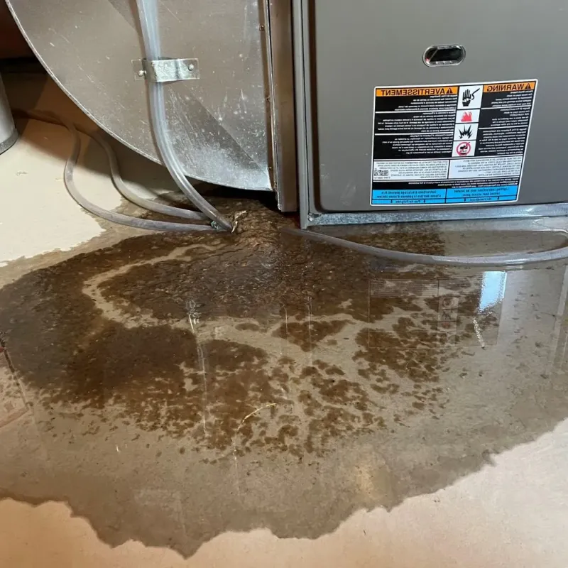Pipe Burst and Leak Restoration in Lapwai, ID