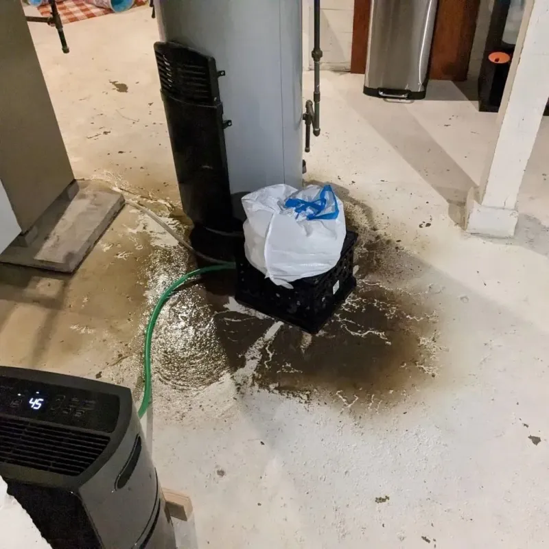 Sewage Backup Cleanup Service in Lapwai, ID